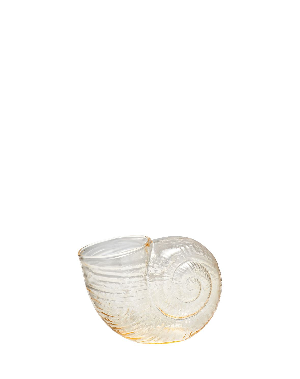 Jarrón de cristal concha de arena