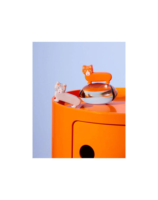 Salero y pimentero felinos