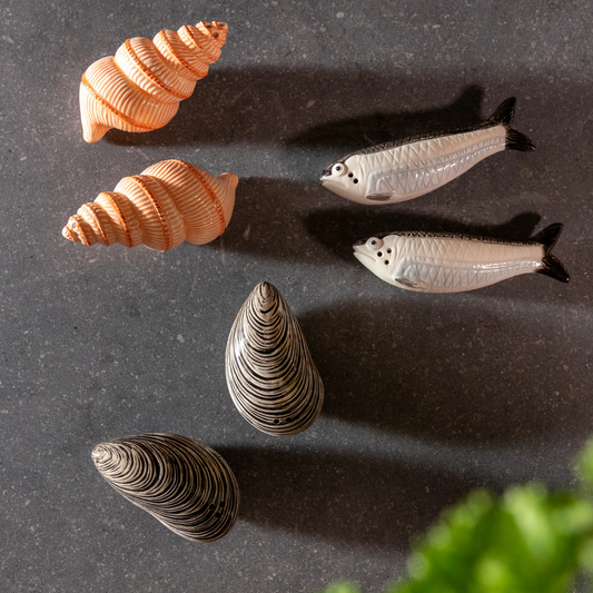 Salt and pepper shakers mussel